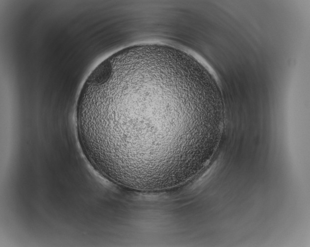 X0000112160951200908211431