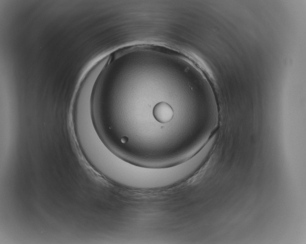 X0000112160952200908211431