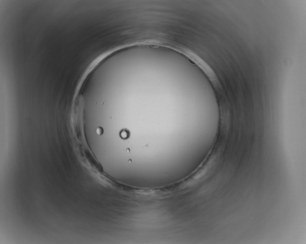X0000112160956200908211431