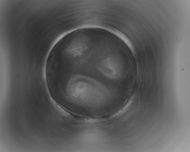 X0000112160958200908211431