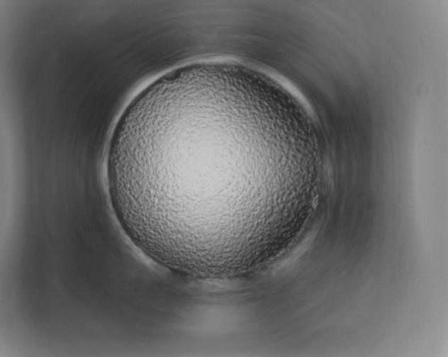 X0000112160959200908211432