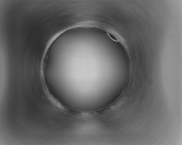 X0000112160960200908211432