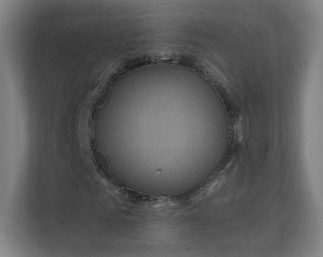 X0000112160961200908211431