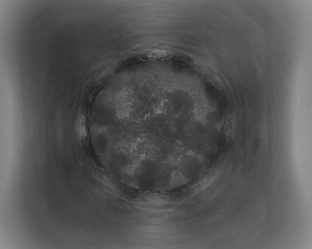 X0000112160962200908211431