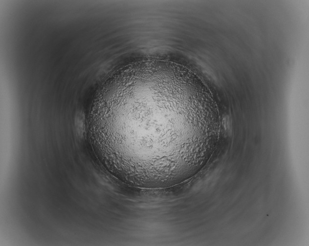 X0000112160963200908211431