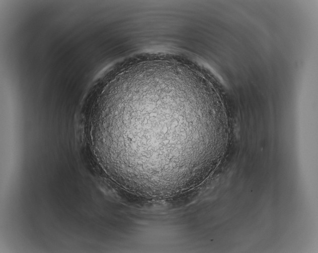 X0000112160968200908211431