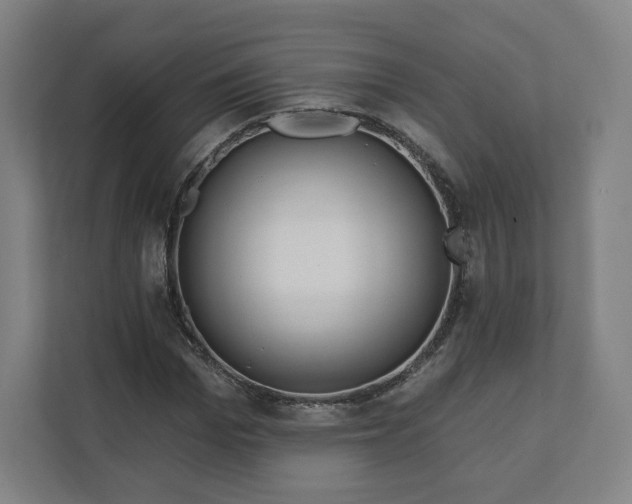 X0000112160969200908211431