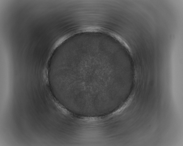 X0000112160970200908211431