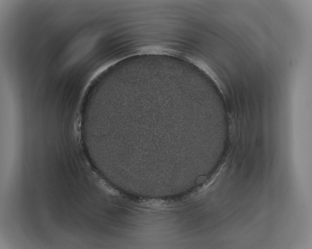 X0000112160971200908211431