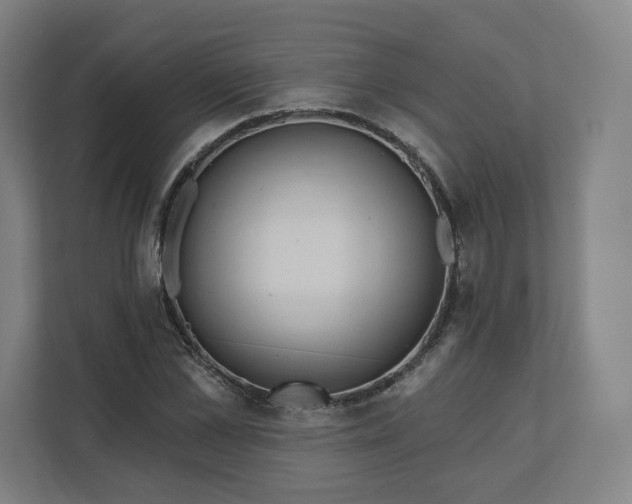 X0000112160973200908211431