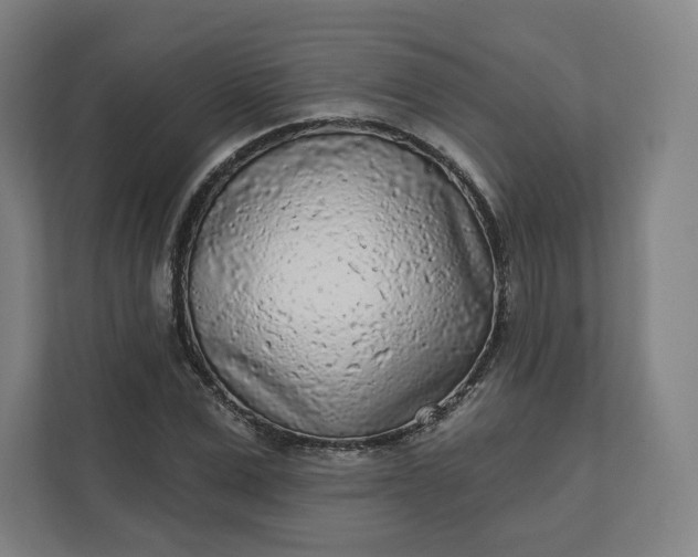 X0000112160975200908211431