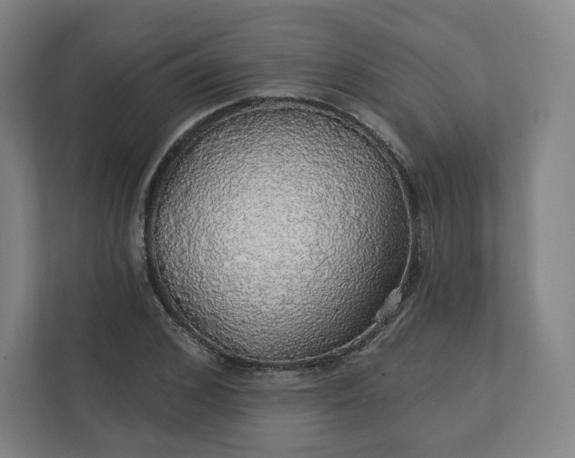 X0000112160976200908211431