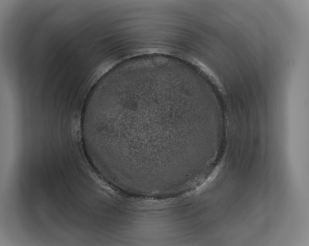 X0000112160977200908211431