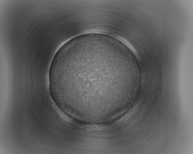 X0000112160980200908211431