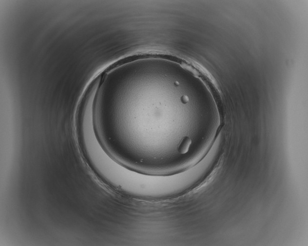 X0000112160981200908211431
