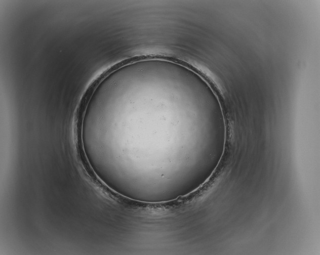 X0000112160983200908211431