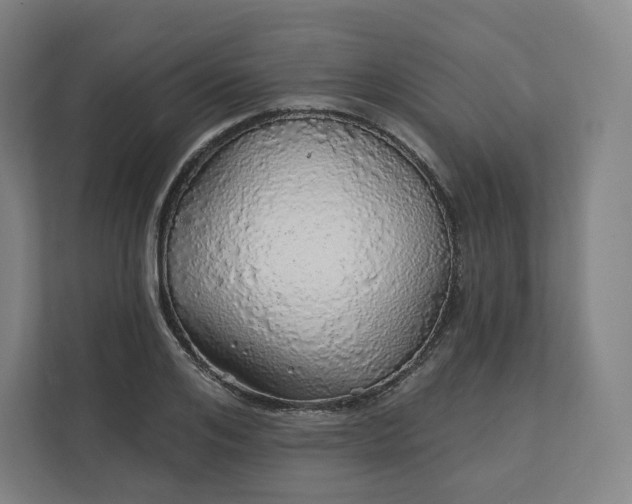 X0000112160984200908211431