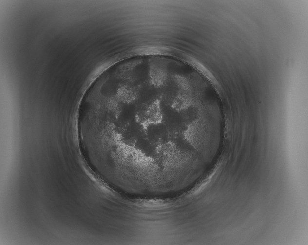 X0000112160986200908211431