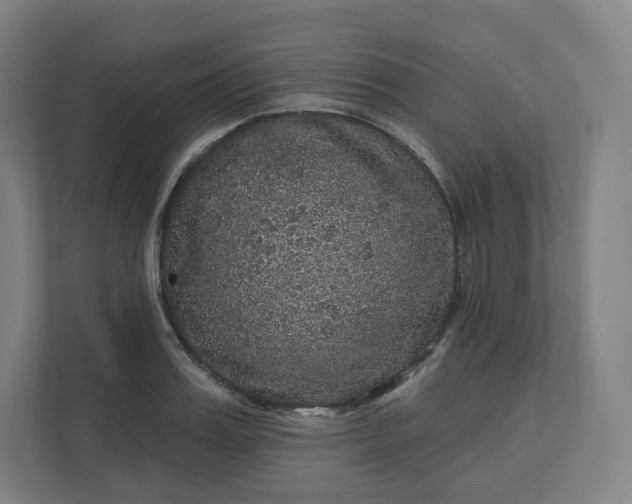 X0000112160987200908211431