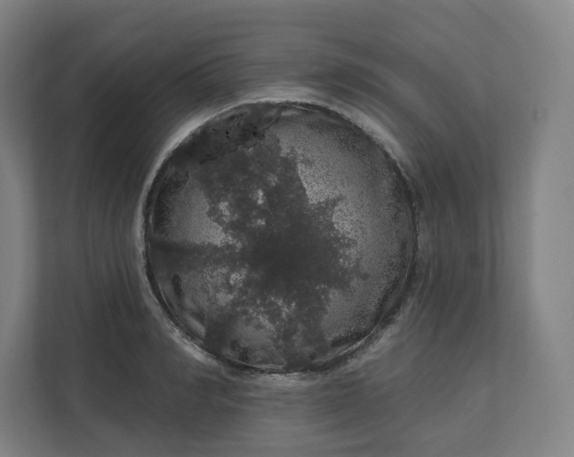 X0000112160990200908211431