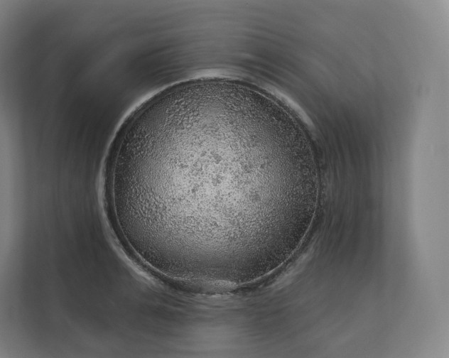 X0000112160991200908211431