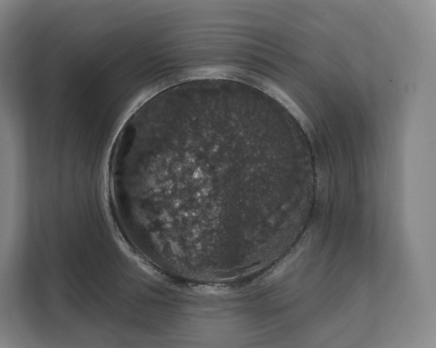 X0000112160994200908211430
