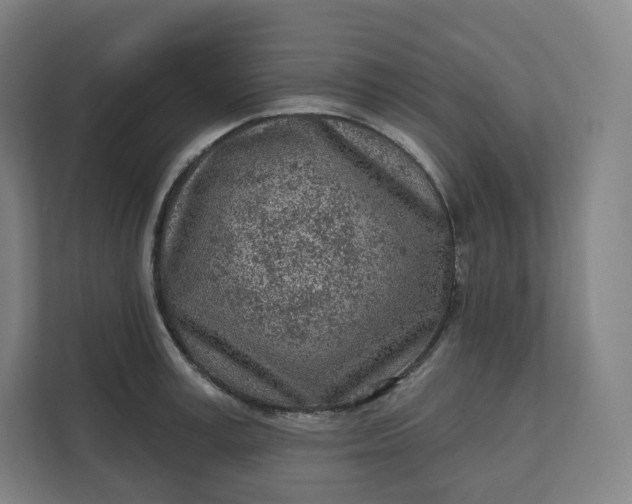 X0000112160995200908211430
