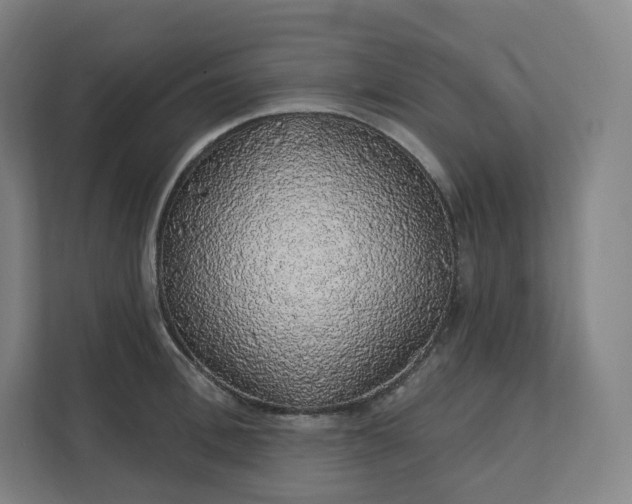 X0000112160996200908211430