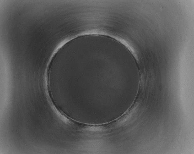 X0000112160998200908211430