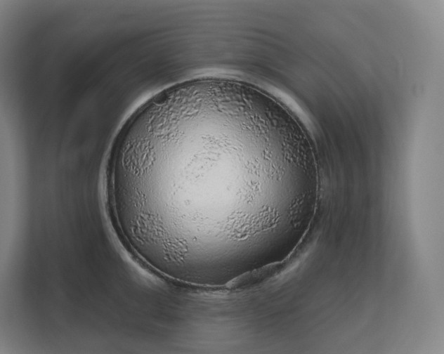 X0000112160999200908211430
