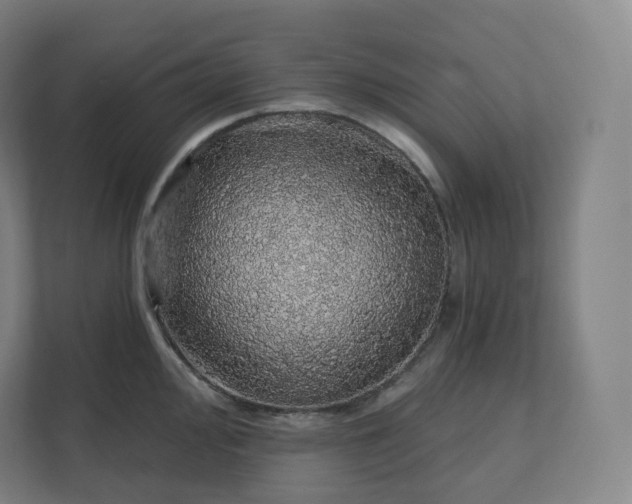 X0000112161000200908211430