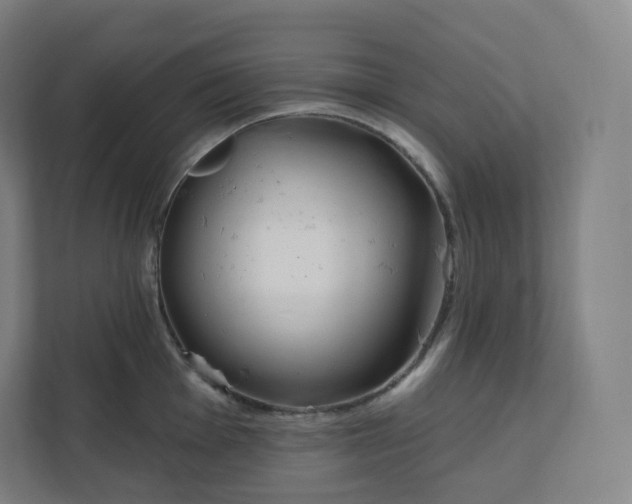 X0000112161001200908211430