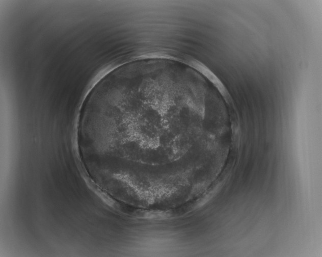 X0000112161002200908211430