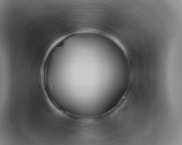 X0000112161003200908211430