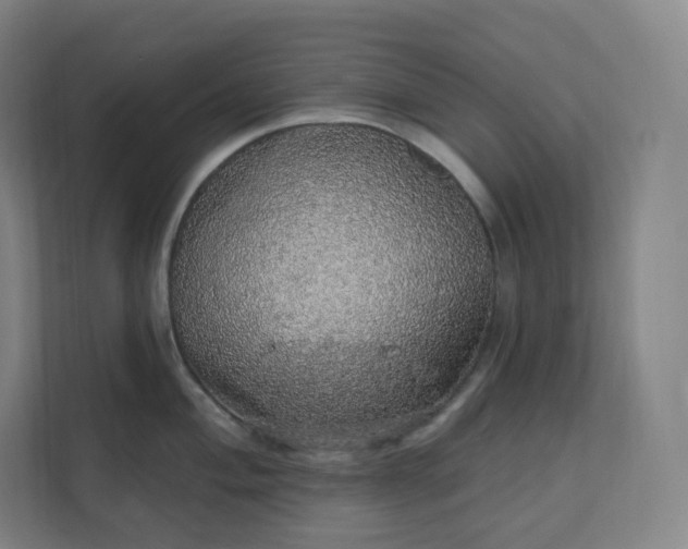 X0000112161004200908211430