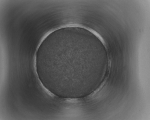 X0000112161006200908211430