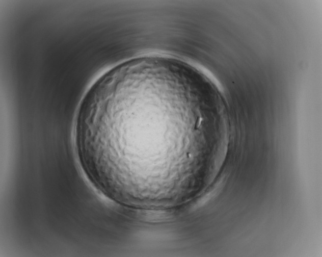 X0000112161007200908211430