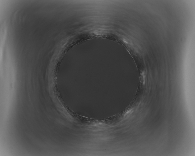 X0000112161009200908211430