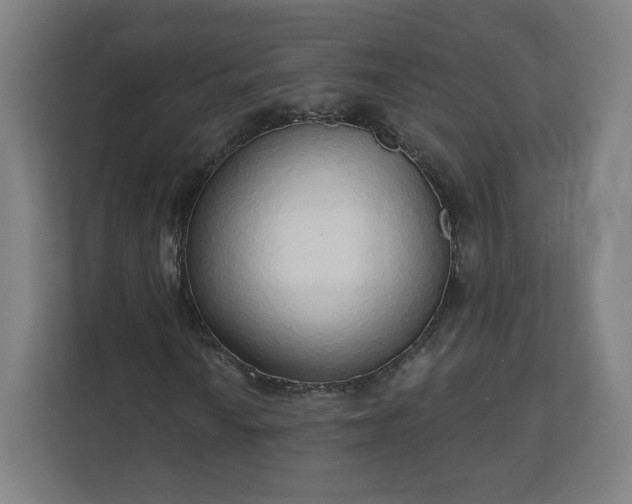 X0000112161010200908211430