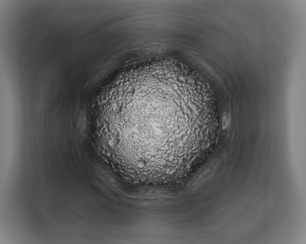 X0000112161011200908211430
