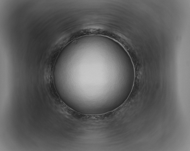 X0000112161014200908211430