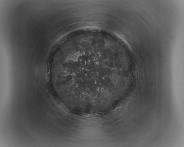 X0000112161015200908211430