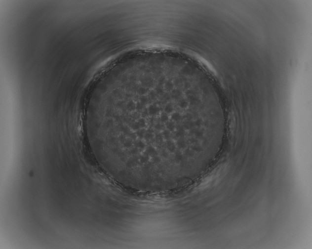 X0000112161016200908211430