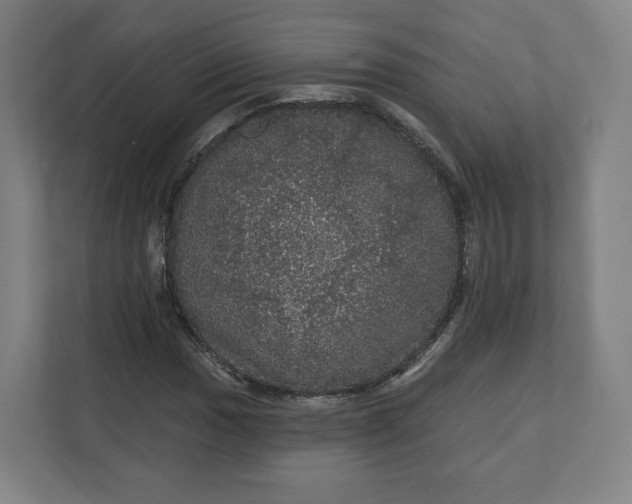 X0000112161017200908211430