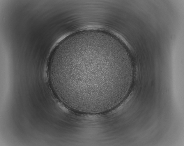 X0000112161018200908211430