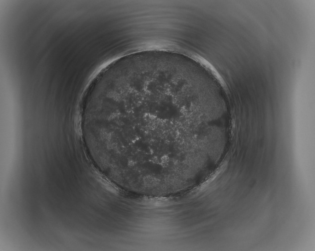 X0000112161019200908211430