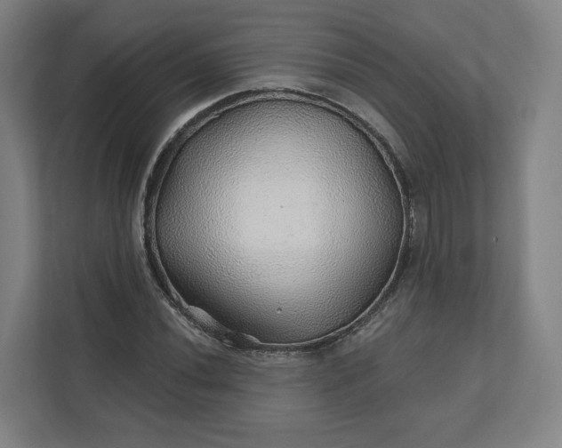 X0000112161020200908211430