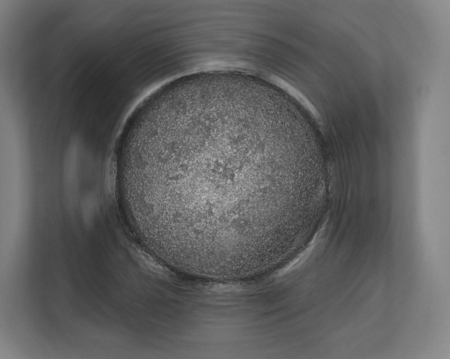 X0000112161021200908211430