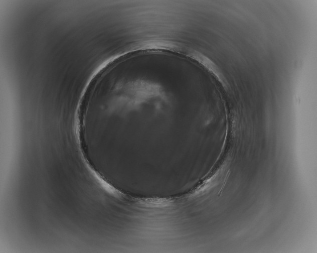 X0000112161024200908211430