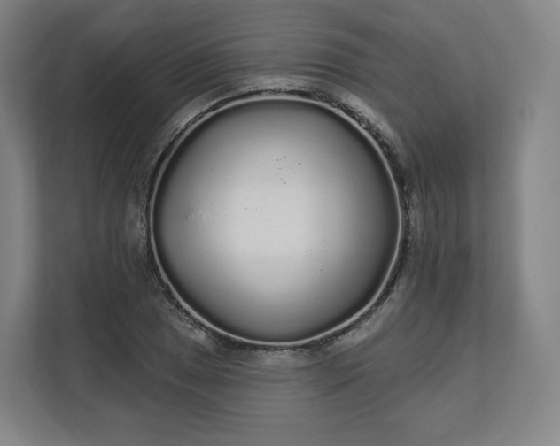X0000112161025200908211430